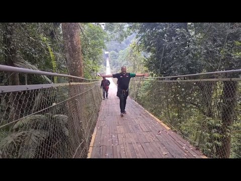 JEMBATAN GANTUNG TERBENTANG DIATAS HUTAN BELANTARA, PESONA SITU GUNUNG