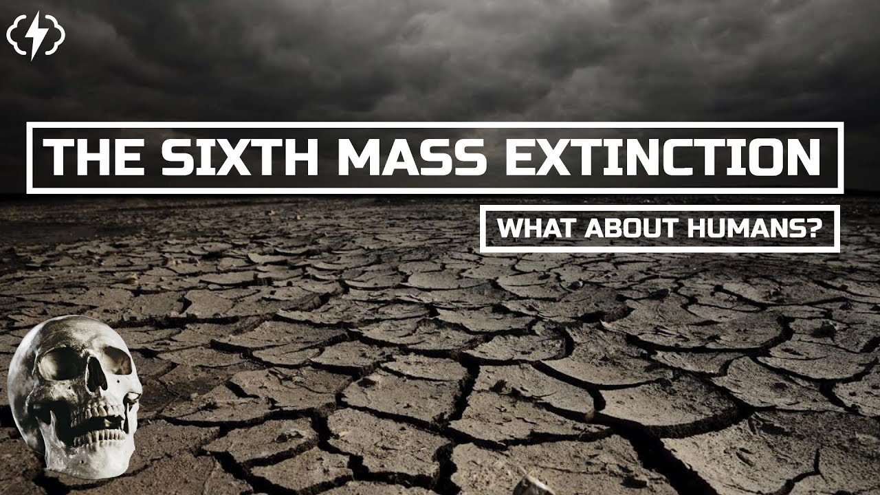 The Sixth Mass Extinction