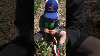 Mason finding a Williams Cleaner