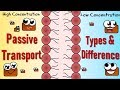 Exploring Passive Transport Mechanisms