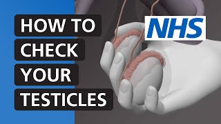 How to check your testicles | NHS