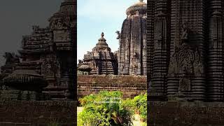 Lingaraja Temple Bhubaneshwar Odisha 🙏🏻🔱☘️🚩 लिंगराज मंदिर भुवनेश्वर  ओडिशा । #bhubaneshwar #odisha