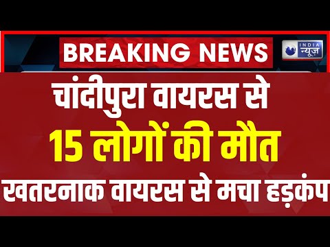 Gujarat Chandipura virus: देशभर में खतरनाक चांदीपुरा वायरस से 15 लोगों की मौत। 15 people death News