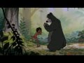 Understanding Bare Necessities and Nature