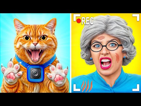 Я Кот | Забавные Приключения Кота от Multi DO Smile