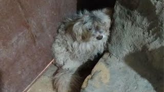 From Trembling in Fear to Running with Joy—Rudy’s Transformation Will Touch Your Soul!