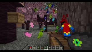 playing music to make parrots dance