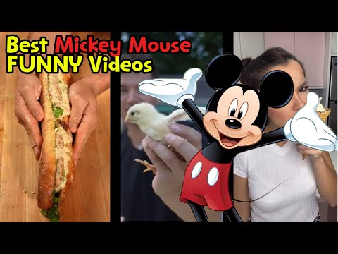 Mickey Mouse Reacts To Funny Video (TRY NOT TO LAUGH CHALLENGE) #animation