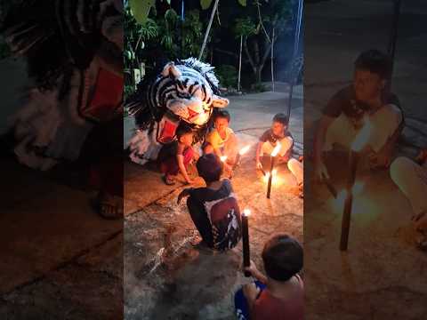 Lagi Nunggu Sahur Ada Can Macanan Gigit Teman Teman