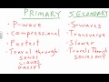Understanding Seismic Waves and Earthquakes
