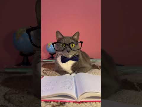 袣袪袗小袧袗携 楔袗袩袨效袣袗