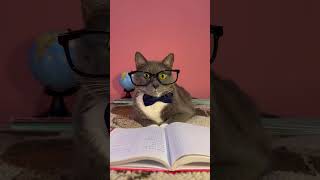 КРАСНАЯ ШАПОЧКА