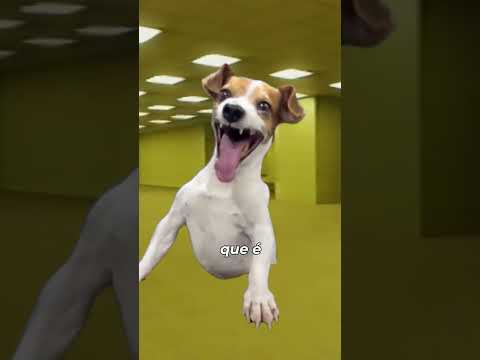 E SE UM CACHORRO CARAMELO CAÍSSE NAS ASSUSTADORAS BACKROOMS #backrooms #dog #cachorro #engraçado