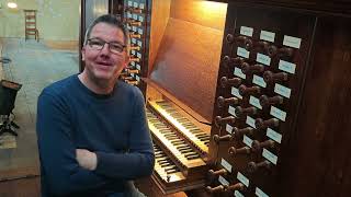 Bart, organiste et claveciniste des Muffatti | Meet the musicians #4