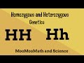Understanding Homozygous and Heterozygous Traits