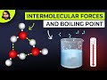 Exploring Intermolecular Forces and Their Impact on Boiling Points