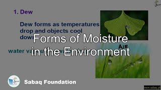 Forms of Moisture in the Environment