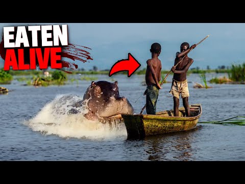 These 2 Boys Get EATEN ALIVE By Savage Hippo!