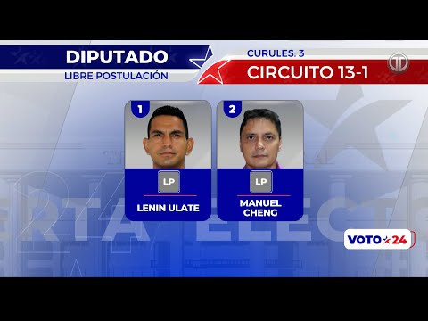 Voto Candidatos A Diputado Por Libre Postulaci N En El Circuito