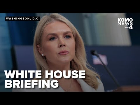 'The world is a much safer place': White House Press Secretary Karoline Leavitt on Iran attacks