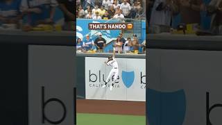 THAT’S NANDO 🤯 #mlb #sportshighlights #baseball #catch #sandiegopadres #fernandotatisjr #sports