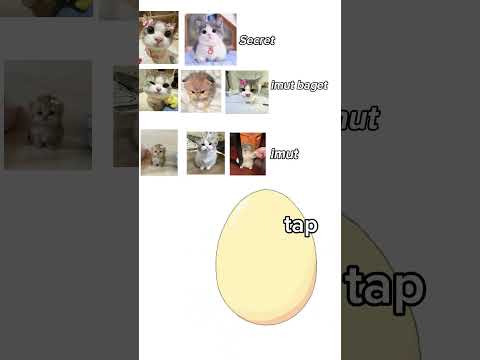 dapet apa? #countryballs #memes #funny #geography #videoshort #cat #duet #adorably #public #capcut