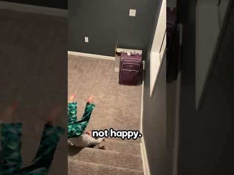 He couldn't believe this Christmas present 😂