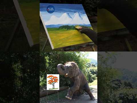 Dieser Elefant kann so gut malen wie ein Mensch 🧑‍🎨🤯