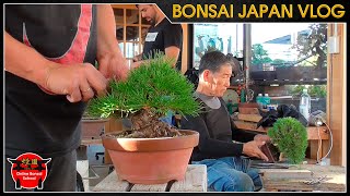 Los precios de Oyakata en Taisho En | Bonsai Japón Vlog #124