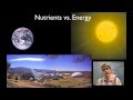 Exploring Biogeochemical Cycles and Nutrient Flow