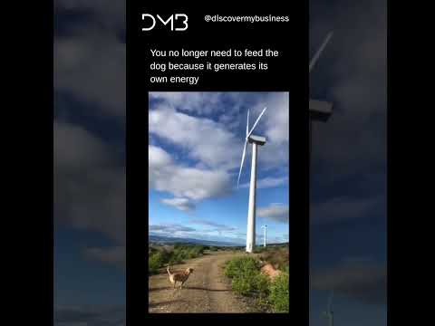 Dog Generates Its Own Energy ๐โก๐ถ | Funniest Dog Meme 2025