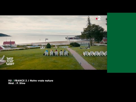 Teaser 1 « Année du VU 2024 » 2 janvier, 23h25 sur France 2 et france.tv