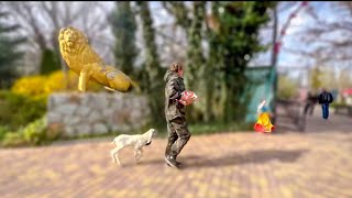 видео