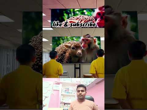 resque baby of deer #shorts #trending #viral #youtubeshorts #animals #resque