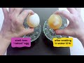 Plant Biology Concepts and Experiments