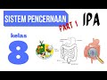 Human Nutrition and Health Concepts