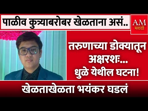 पाळीव कुत्र्याबरोबर खेळताना असं.. तरुणाच्या डोक्यातून अक्षरशः... | AM Marathi News