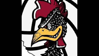 South Carolina Men's Club Volleyball Live Stream