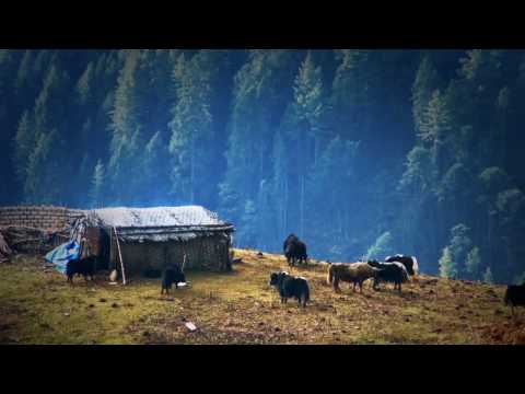 Visit Bhutan 2015
