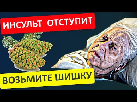 Настойка из СОСНОВЫХ ШИШЕК вернет к ЖИЗНИ