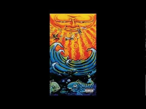 Sublime - New Realization (Acoustic)