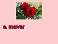 Identifying Plant Names and Topics