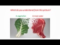 Vegetarian Diet and Nutrition Concepts