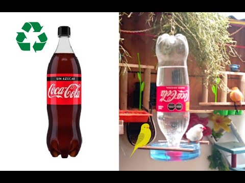 ¡Haz un bebedero para pájaros en 5 minutos con una botella reciclada! FACIL Y RAPIDO 🐦💧