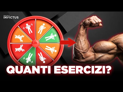 Quanti esercizi per gruppo muscolare?