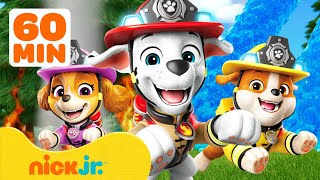 Paw Patrol | ¡Los Mejores Momentos de Rescates de Incendios! 🚒🔥 | 60 Minutos | Nick Jr. en Español