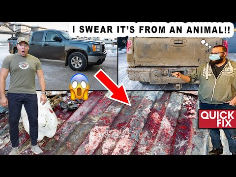 Cleaning The BLOODIEST Truck I've Ever Seen! | Quick Fix