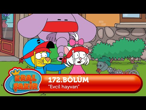 Kral Şakir 172. Bölüm - Evcil Hayvan