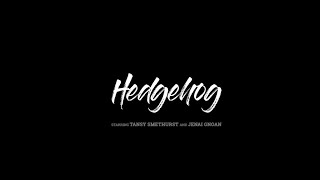 Hedgehog Trailer