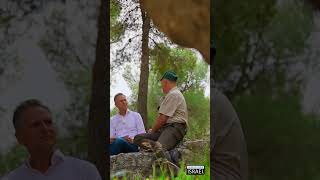 Israel erlebt sein grünes Wunder - Aus Wüste wird Wald